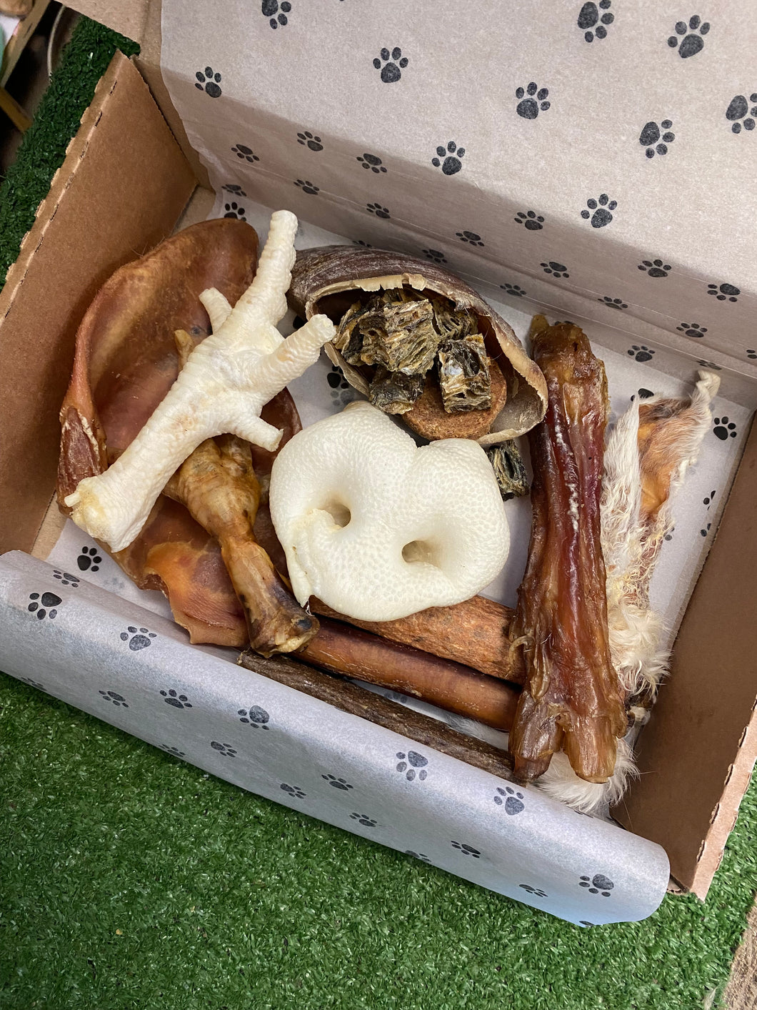 Medium Treat Box